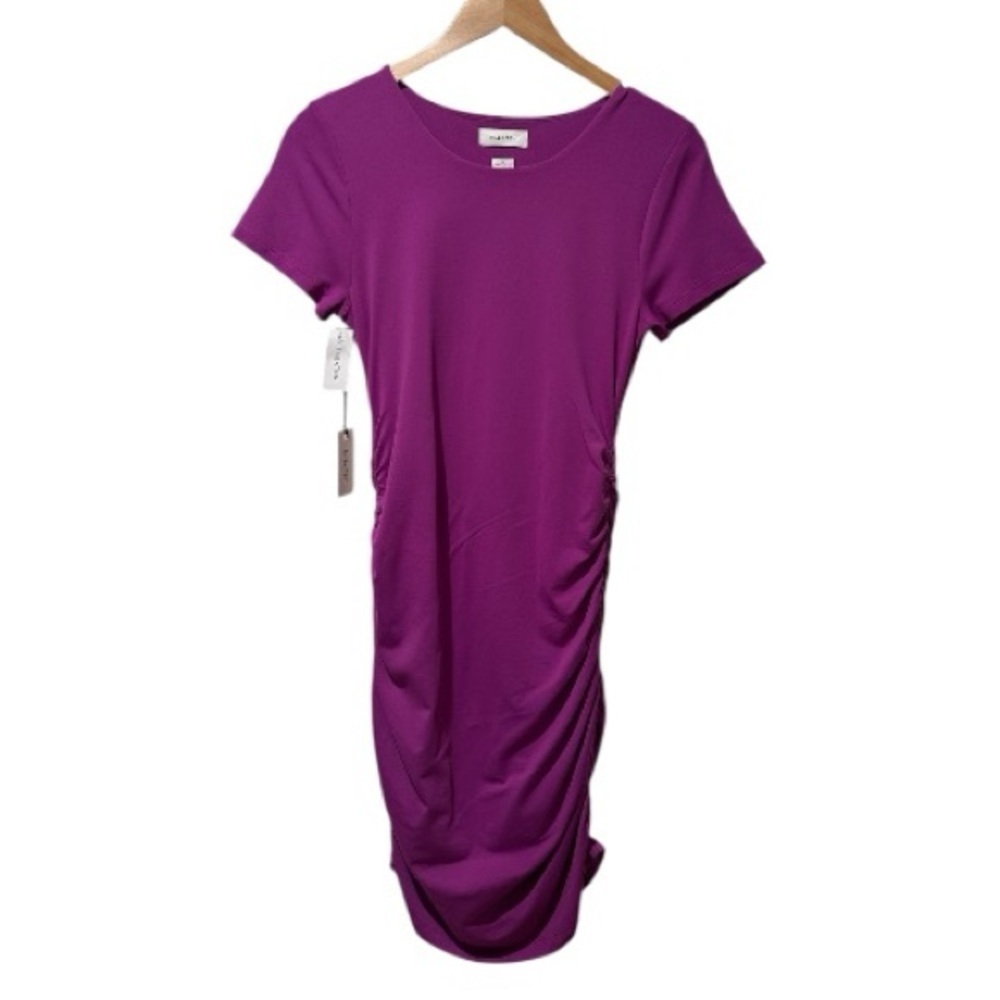 Aritzia Babaton Ruched Mini Dress - Picture 4 of 14